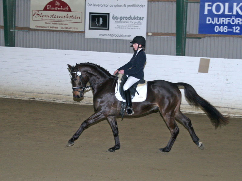 20080406_124116 Sabina Hansen Diezel